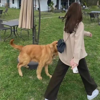 热带往事